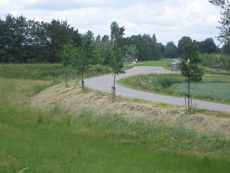 Oude Veerweg en kruising